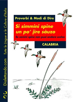 cover image of Proverbi & Modi di Dire &#8211; Calabria